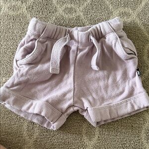 Kyte Kids Lavender Shorts - 6-12 months